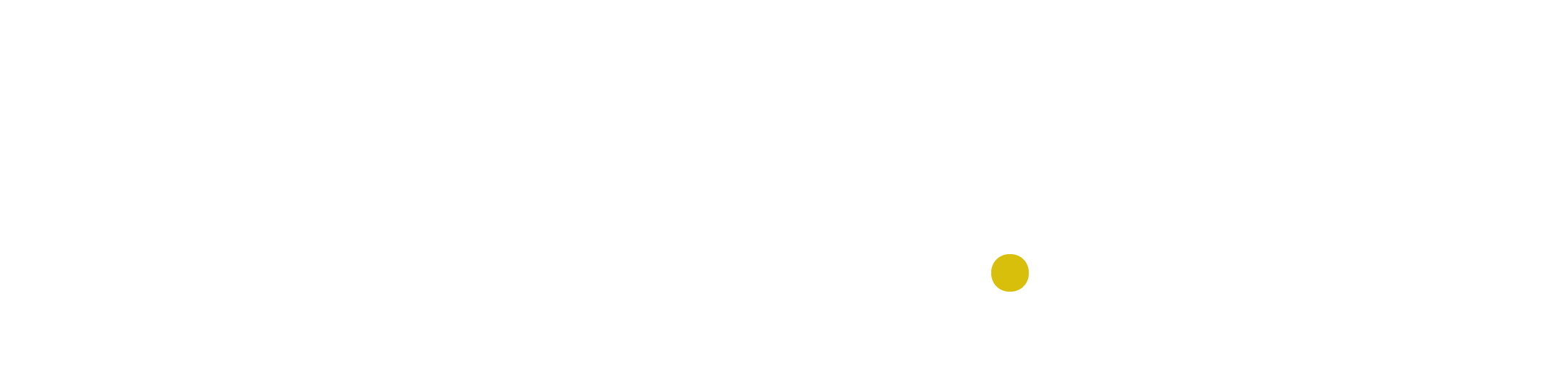 Logo TS-DS.Sale